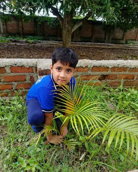 ECO CLUB ACTIVITY EK  PED KE NAAM 2.0